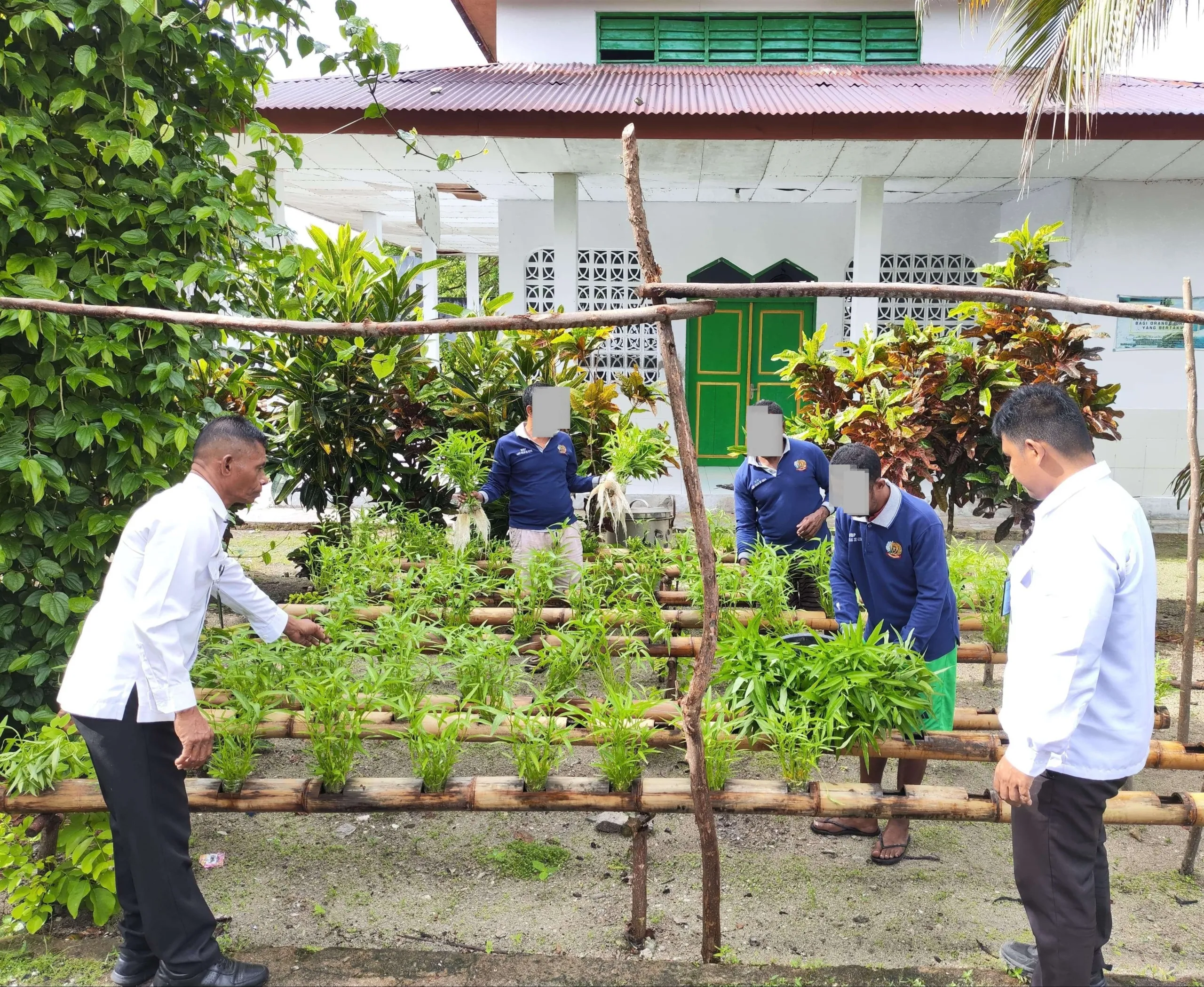 Lapas Geser Panen Kangkung Hidroponik Bersama Warga Binaan