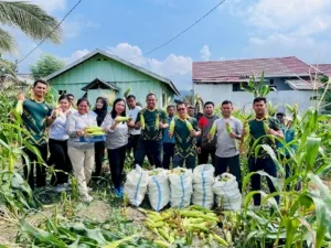 Lapas Kelas IIB Luwuk menggelar panen raya jagung di lahan samping tembok lapas, Jumat (3/10). (Dok: Humas Lapas Luwuk)