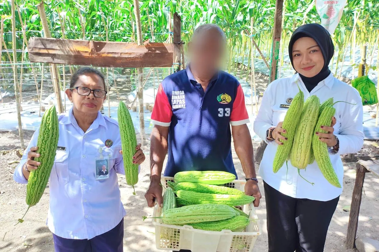 Panen Pare Jumbo Lapas Wahai Bukti Dukung Ketahanan Pangan