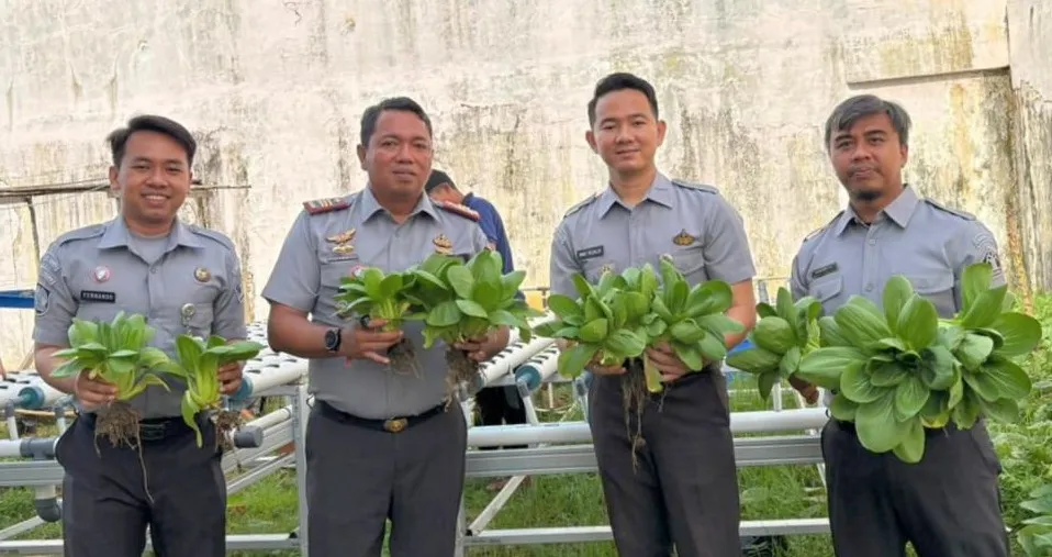 Panen Sayur Pakcoy di Rutan Bengkulu, Perkuat Pembinaan WB