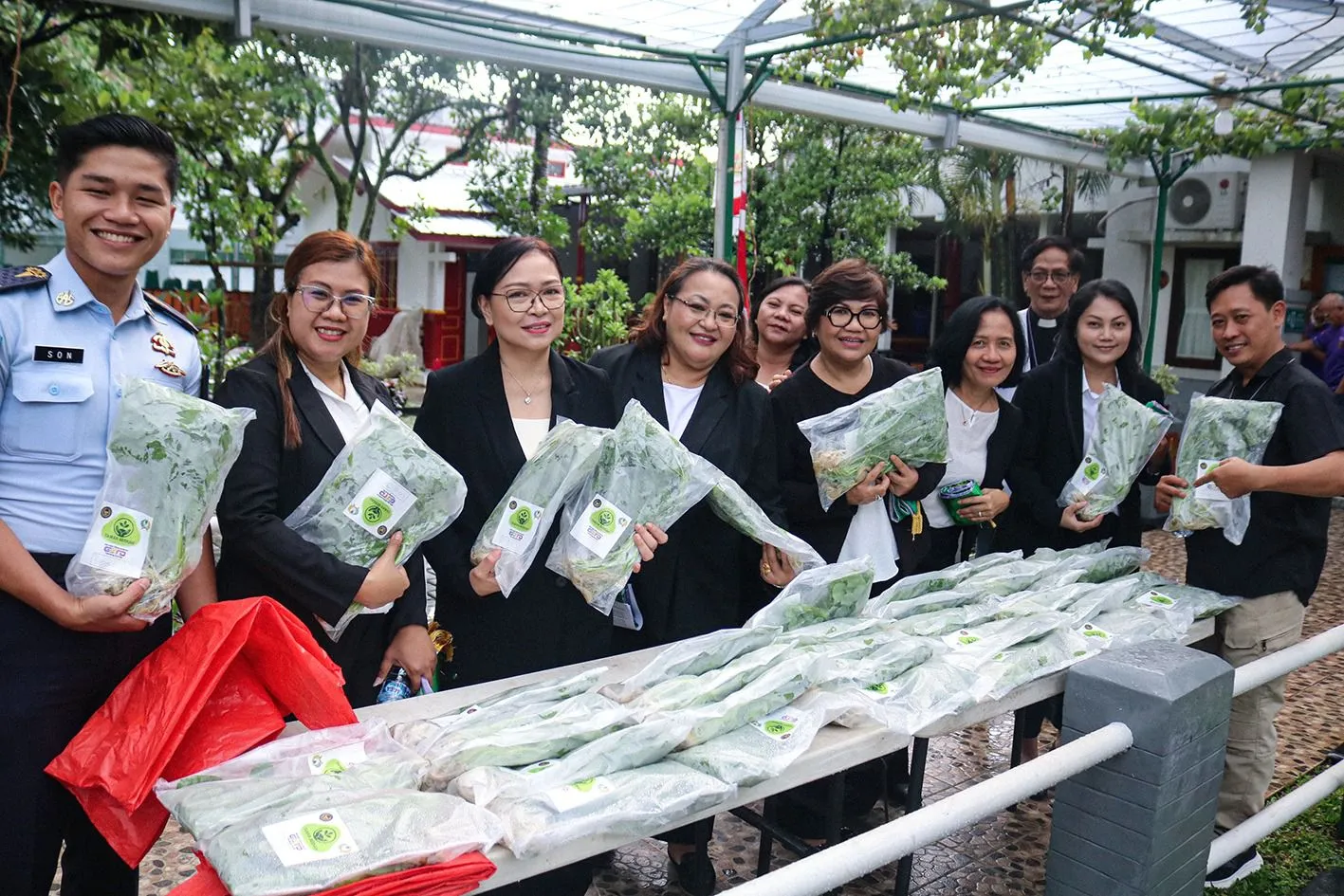 Panen Sayur Bayam yang Mendukung Ketahanan Pangan