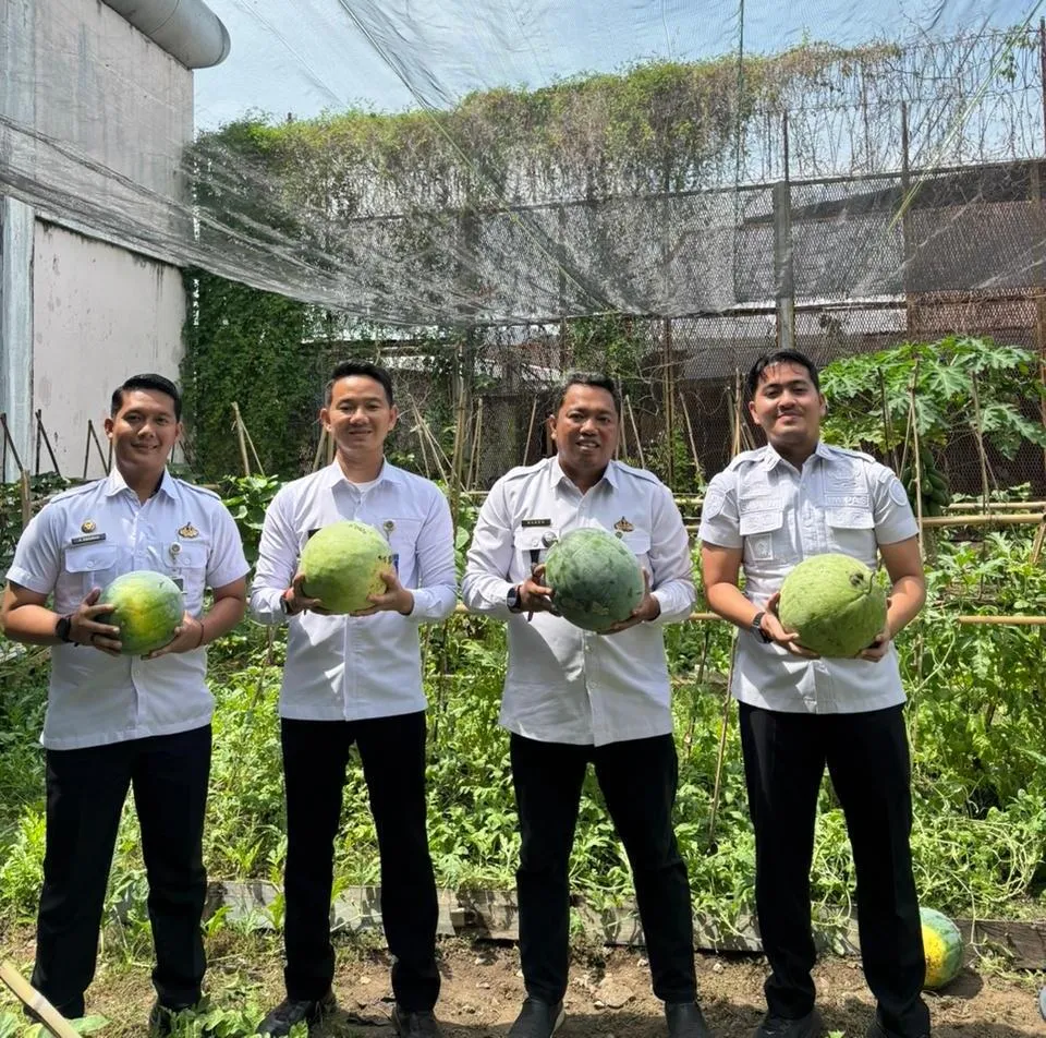 Rutan Bengkulu Panen Semangka, Dukung Ketahanan Pangan