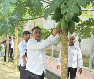 Rutan Donggala Raih Apresiasi untuk Inovasi Ketahanan Pangan