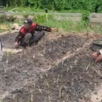 Rutan Kapuas Tanam Bawang Prei, Tingkatkan Kemandirian WB