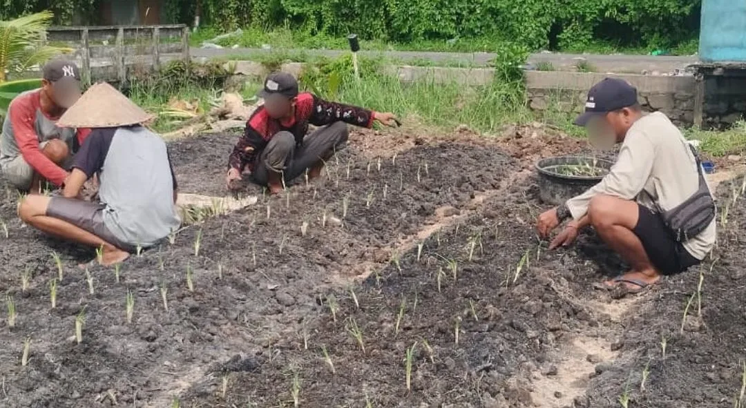 Rutan Kapuas Tanam Bawang Prei, Tingkatkan Kemandirian WB