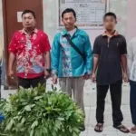 LPKA Medan Serahkan 25 Kg Daun Ubi Hasil Panen Anak Binaan ke Rutan Perempuan Medan