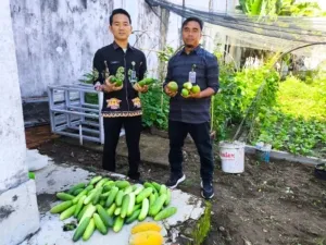 Rutan Kelas IIB Bengkulu Panen Pakcoy dan Mentimun, Wujud Nyata Program Ketahanan Pangan dan Pembinaan Produktif Warga Binaan