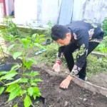 Rutan Kelas IIB Bengkulu Perkuat Ketahanan Pangan Lewat Penanaman Semangka Non Biji