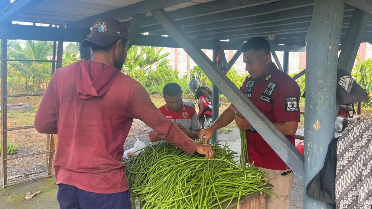 Panen 47 Ikat Kacang Panjang di Lapas Kelas IIB Piru, Bukti Nyata Pembinaan Kemandirian Warga Binaan