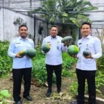 Rutan Kelas IIB Bengkulu Panen Semangka: Bukti Sukses Program Pembinaan Kemandirian Warga Binaan