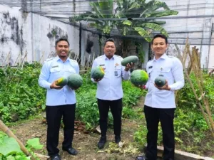 Rutan Kelas IIB Bengkulu Panen Semangka: Bukti Sukses Program Pembinaan Kemandirian Warga Binaan