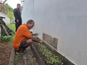 Warga Binaan Lapas Saparua Kembangkan Pertanian Berkelanjutan Melalui Pembibitan Sawi dan Pengelolaan Biopori
