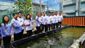 Siap untuk Diolah, Lapas Cibinong bersama Kemenag Kabupaten Bogor Panen Berkah 4 Kuintal Ikan Lele