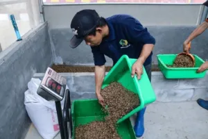 Lapas Cibinong Hasilkan 300 Kg Maggot, Solusi Cerdas Dalam Mengatasi Sampah Organik