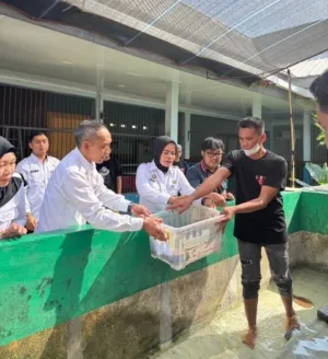Lapas Kelas I Bandar Lampung Kembangkan Budidaya Lobster Air Tawar: 120 Ekor Benih Mulai Dikelola