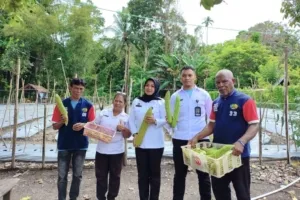 Lapas Wahai Panen Cabai dan Pare Dukung Ketahanan Pangan