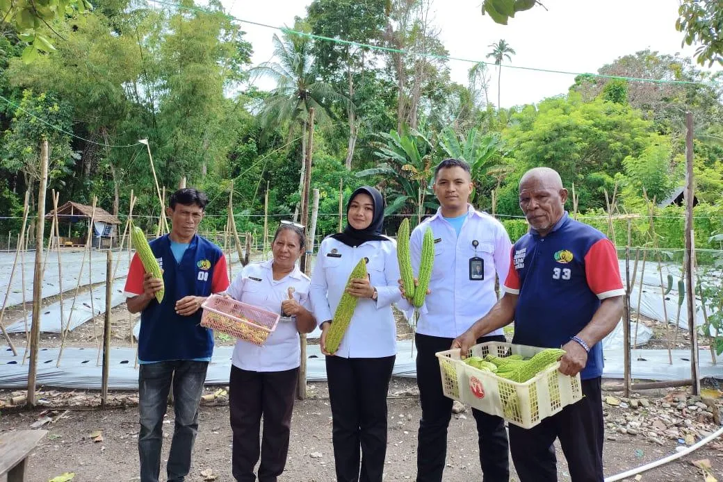 Lapas Wahai Panen Cabai dan Pare Dukung Ketahanan Pangan