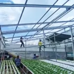 Lapas Bandar Lampung Tingkatkan Sarana Hidroponik untuk Dukung Ketahanan Pangan dan Pembinaan Warga Binaan