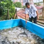 Lapas Kotabaru Panen 100 Kg Ikan Lele