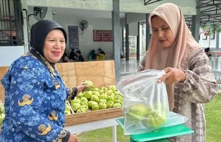 Lapas Palu Panen 25 Kg Jambu Kristal