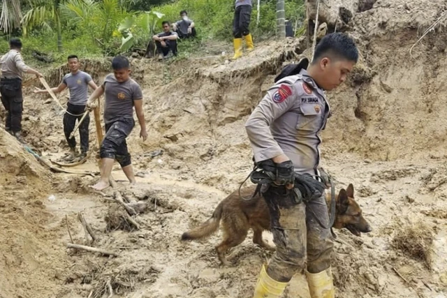 Reno Anjing Pelacak K-9 Yang Gugur Dalam Tugas Kemanusiaan : Evakuasi Bencana Dahsyat Sumatra (dok:Istimewa)