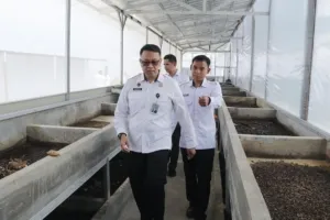 Kunjungi Lapas Cibinong, Lapas Narkotika Gunung Sindur Pelajari Strategi Ketahanan Pangan dan Pengolahan Sampah Organik yang Inovatif