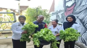 Produktif di Balik Jeruji: Lapas Wahai Sukses Panen Sayuran Segar, Bikin Publik Terkejut!