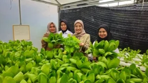 Ketahanan Pangan Lapas Pangkalpinang Tuai Apresiasi Direktur RSUD Depati Hamzah