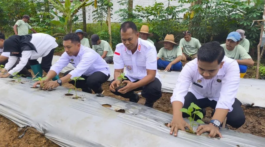 Program Ketahanan Pangan: Lapas Banjarbaru Panen Perhatian Lewat Penanaman 250 Bibit Cabai
