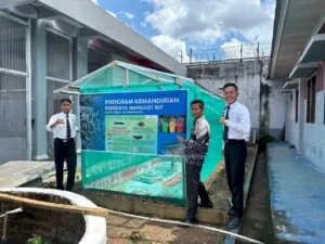 Lapas Banyuasin Sukses Kembangkan Budidaya Maggot: Solusi Ramah Lingkungan yang Jadi Sumber Ekonomi Warga Binaan