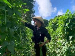 Warga Binaan Panen Lagi (Dok, Istimewa)