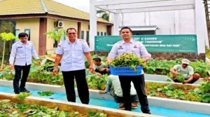 Panen Edamame 50 Kg di Lapas Banjarbaru, Bukti Nyata Pembinaan Warga Binaan Dukung Ketahanan Pangan