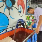“Lapas Ambon Luncurkan Budidaya Lele Bioflok: Warga Binaan Dilatih Jadi Pengusaha Mandiri!”
