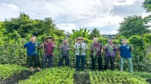 Lapas Bandanaira Panen Perdana Kacang Panjang untuk Perkuat Program Ketahanan Pangan (Dok. Istimewa)