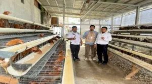 Lapas Narkotika Muara Sabak Dukung Survei Lapangan Lembaga Demografi UI (Dok. Istimewa)