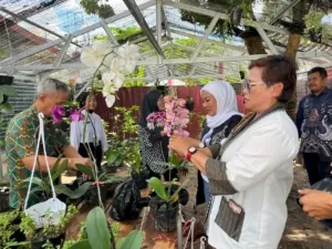 Lapas Perempuan Martapura Jajaki Kerja Sama Pelatihan Pembibitan Anggrek Bersama DPD PAI Kalsel