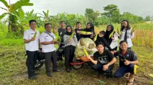 Produktif Tutup Tahun 2025, Lapas Pangkalpinang Panen 113 Kilogram Jagung Manis dari Program Kemandirian (Dok. Istimewa)
