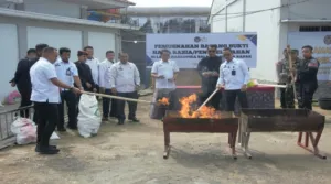 Lapas Narkotika Muara Sabak Musnahkan Barang Terlarang, Tegaskan Komitmen Berantas Halinar (Dok. Istimewa)