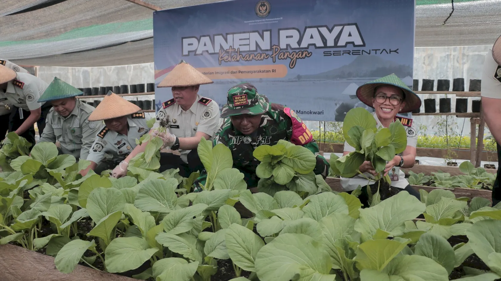 Panen Raya Serentak, Kanwil Ditjenpas Papua Barat Hasilkan Produk Hortikultura