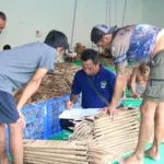 Banyak Diminati, Warga Binaan Lapas Kelas I Madiun Antusias Ikuti Kegiatan Pembuatan Anyaman Rotan