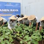 Panen Raya Penuh Kepedulian, Lapas Kelas IIA Cibinong Donasikan Hasil Panen untuk Korban Bencana