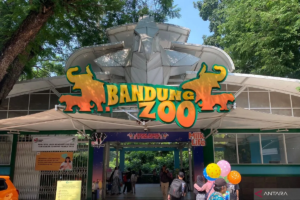 Pemkot Bandung Buka Opsi Tutup Bandung Zoo, Masa Depan Kebun Binatang Masih Dikaji