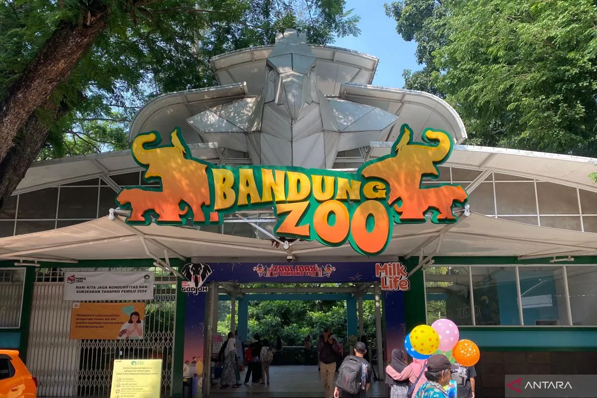 Pemkot Bandung Buka Opsi Tutup Bandung Zoo, Masa Depan Kebun Binatang Masih Dikaji