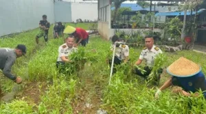 Panen Kangkung 100 Kilogram, Lapas Narkotika Karang Intan Tunjukkan Keberhasilan Pembinaan Kemandirian Warga Binaan