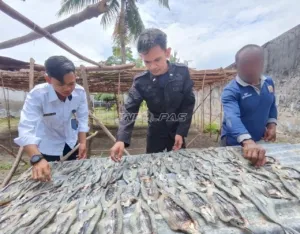 Manfaatkan Potensi Lokal, Warga Binaan Lapas Geser Produksi Ikan Asin Balobo