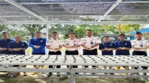 Lapas Banjarmasin Lanjutkan Pembinaan Pertanian Hidroponik Lewat Penyemaian Selada Berkelanjutan