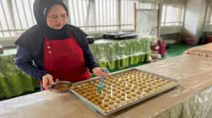 Sambut Ramadan dan Lebaran, Warga Binaan Lapas Perempuan Martapura Mulai Produksi Nastar