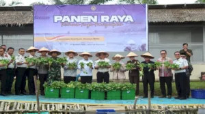 Lapas Banyuasin Jadi Pusat Panen Raya Serentak Pemasyarakatan Sumatra Selatan (Dok. Istimewa)