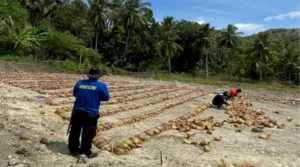 Rutan Majene Percepat Penyiapan Lahan SAE Ramah Lingkungan untuk Perkuat Ketahanan Pangan dan Kemandirian Warga Binaan (Dok. Istimewa)