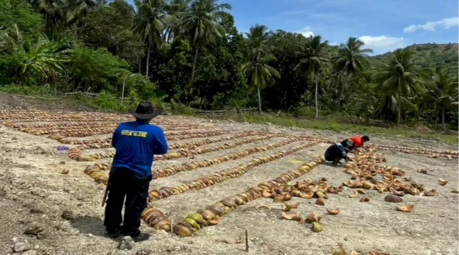Rutan Majene Percepat Penyiapan Lahan SAE Ramah Lingkungan untuk Perkuat Ketahanan Pangan dan Kemandirian Warga Binaan (Dok. Istimewa)